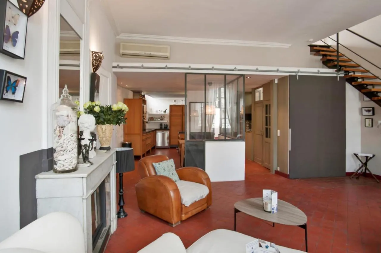 Charming And Large Duplex Flat With Beautiful Terrace In Avignon Apartment