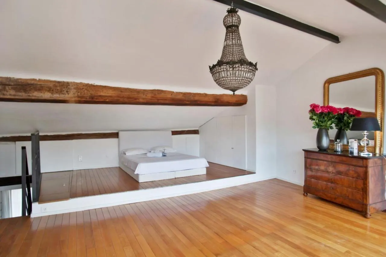 Charming And Large Duplex Flat With Beautiful Terrace In Avignon Apartment France