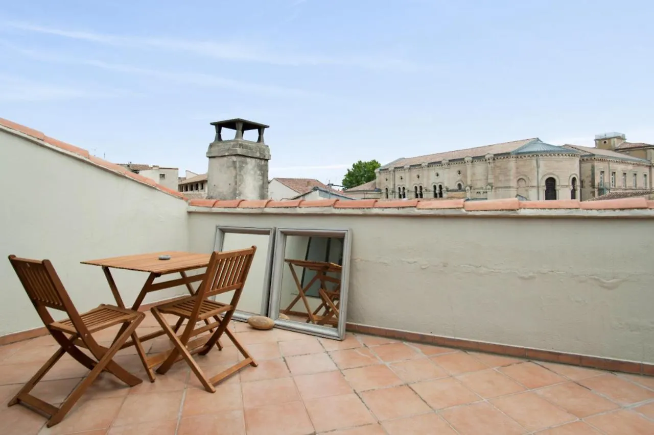 Charming And Large Duplex Flat With Beautiful Terrace In Avignon Apartment France