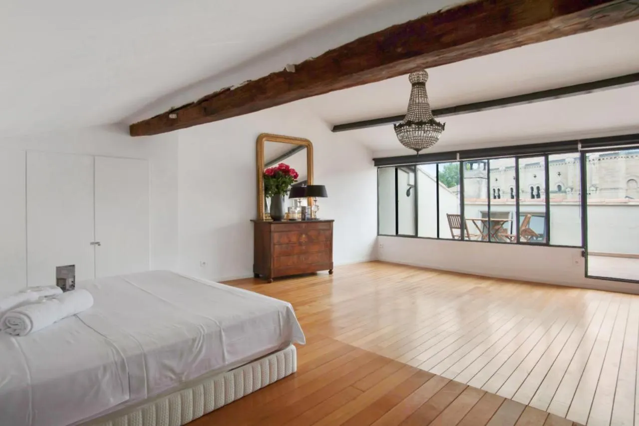 Charming And Large Duplex Flat With Beautiful Terrace In Avignon Apartment